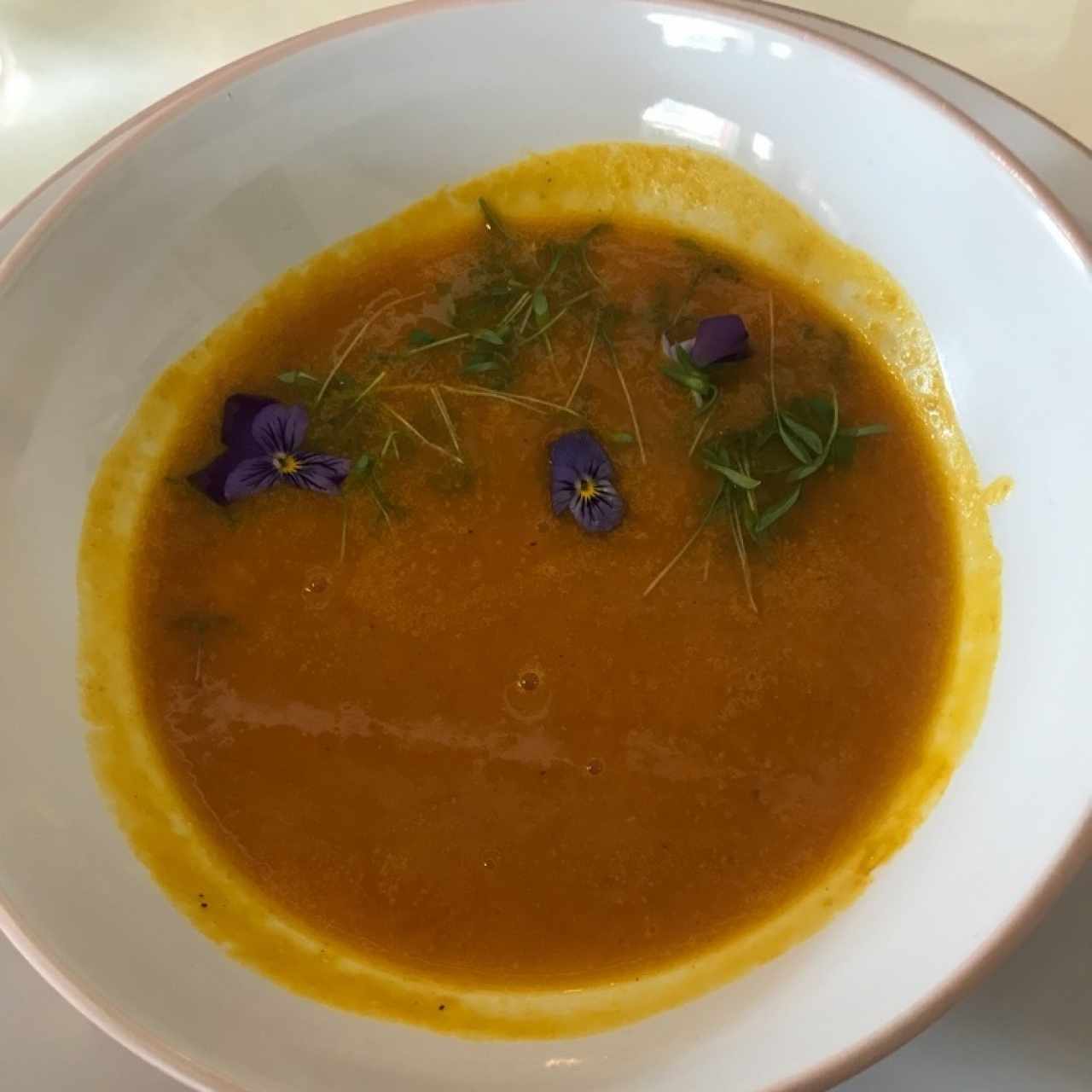 sopa de zapallo