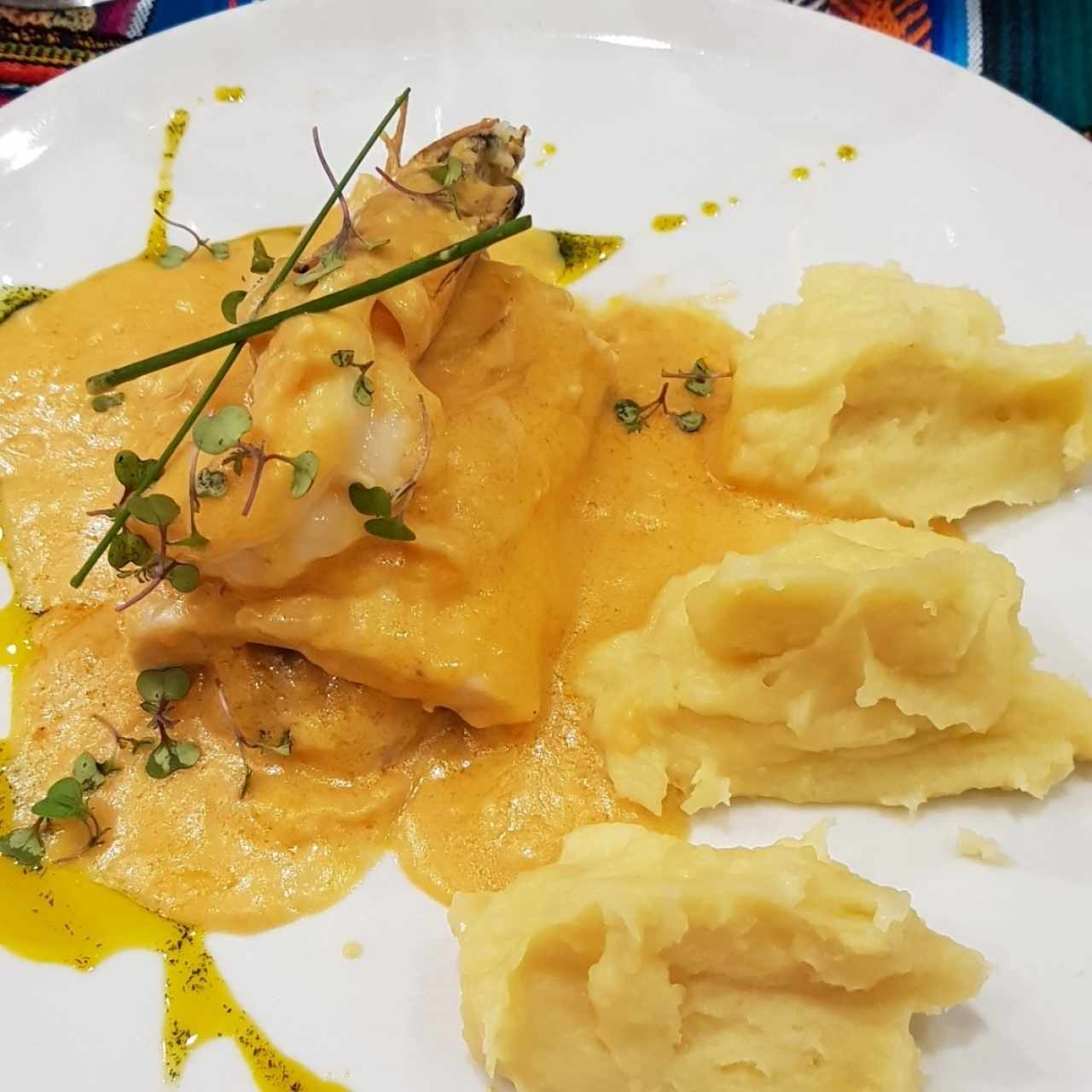 corvina coronado