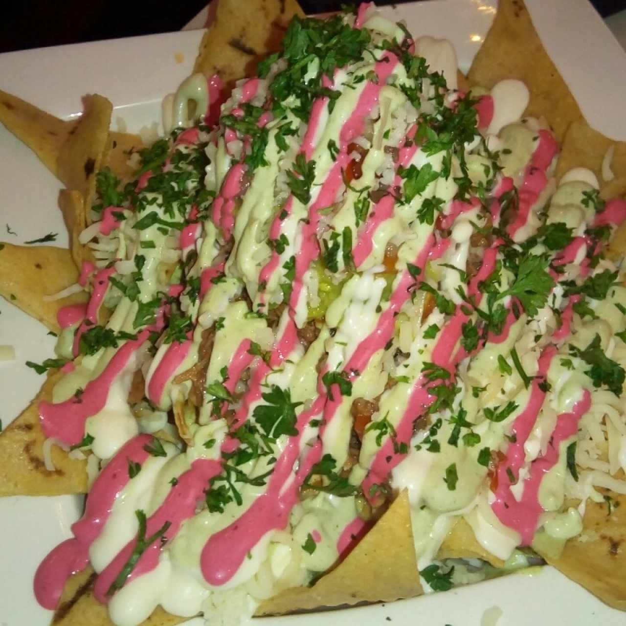 Nachos de carne