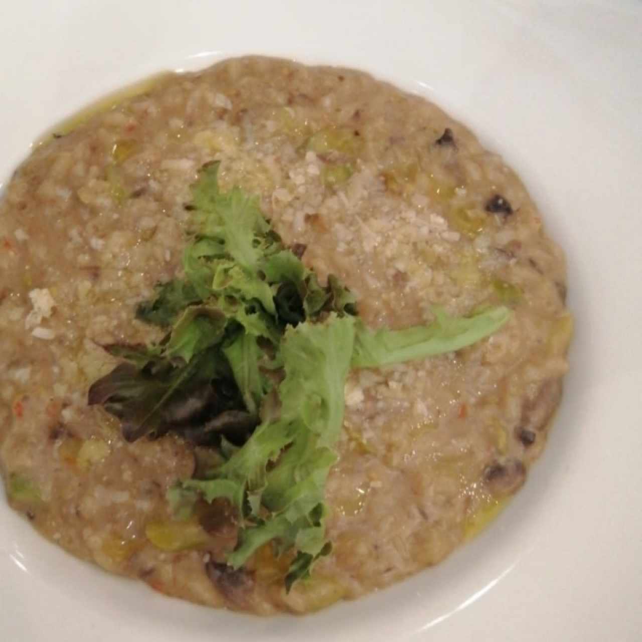 Risotto de hongos con espárragos y aceite de trufa 