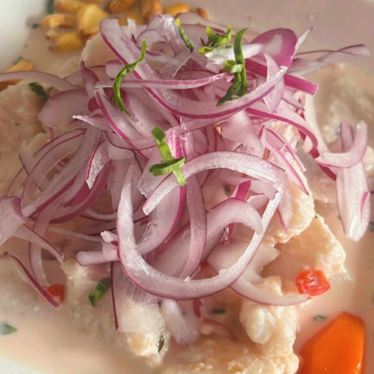 CEVICHES - Ceviche de Pescado
