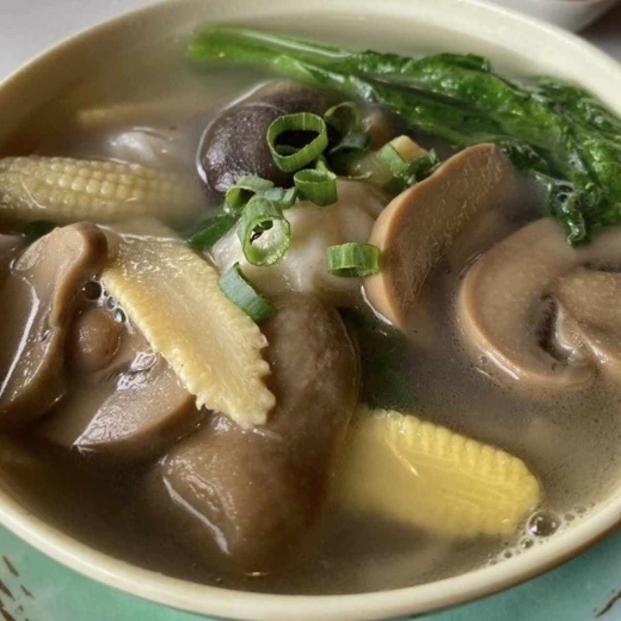 Sopa de Wanton con fideo