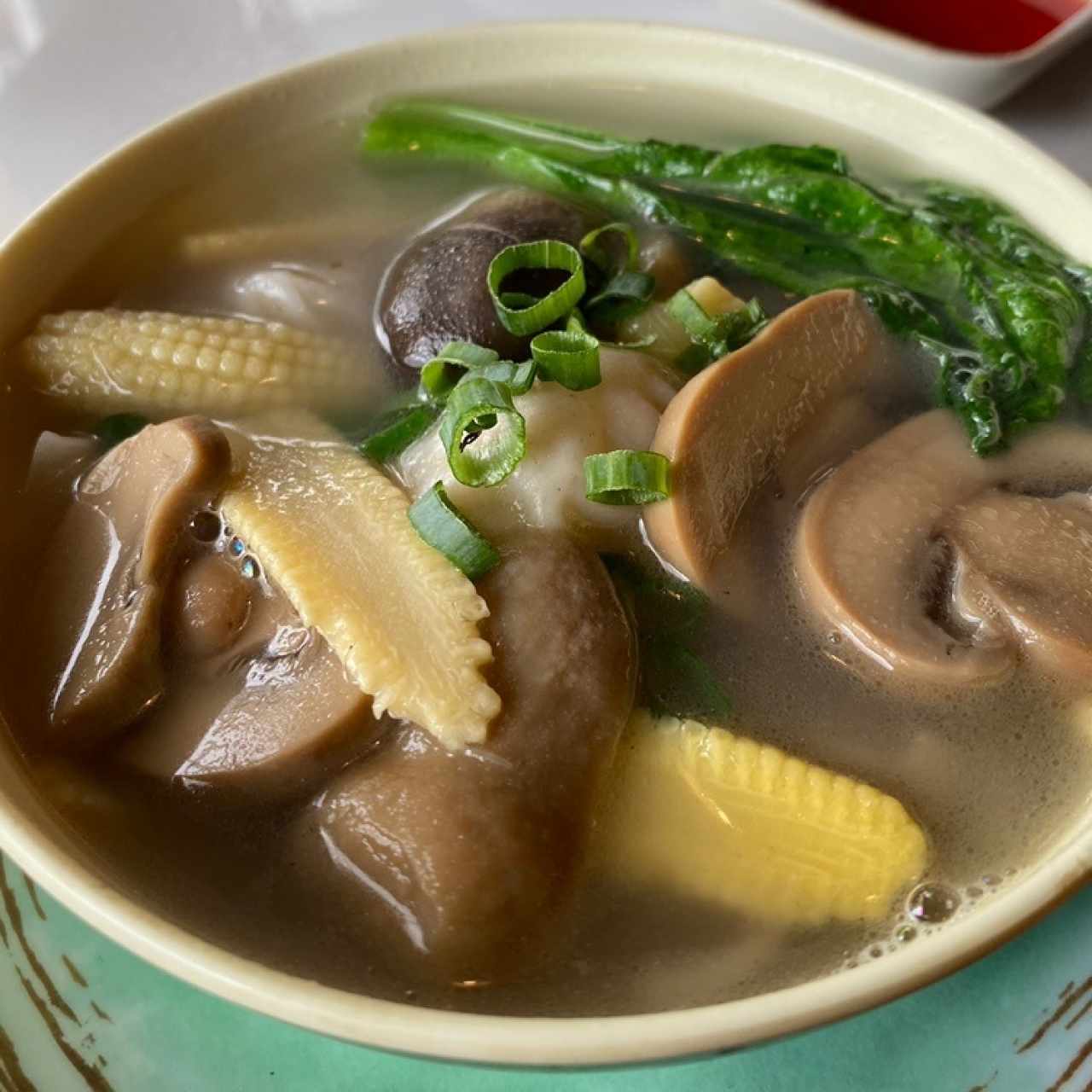 Sopa de Wanton con fideo