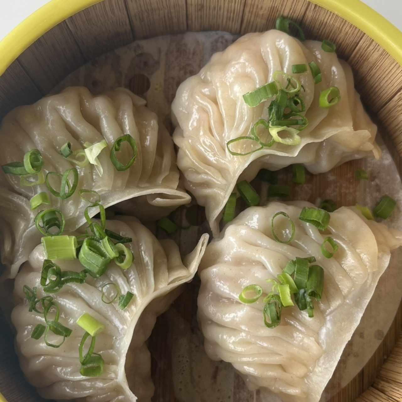 Dim Sum - Wo Tip