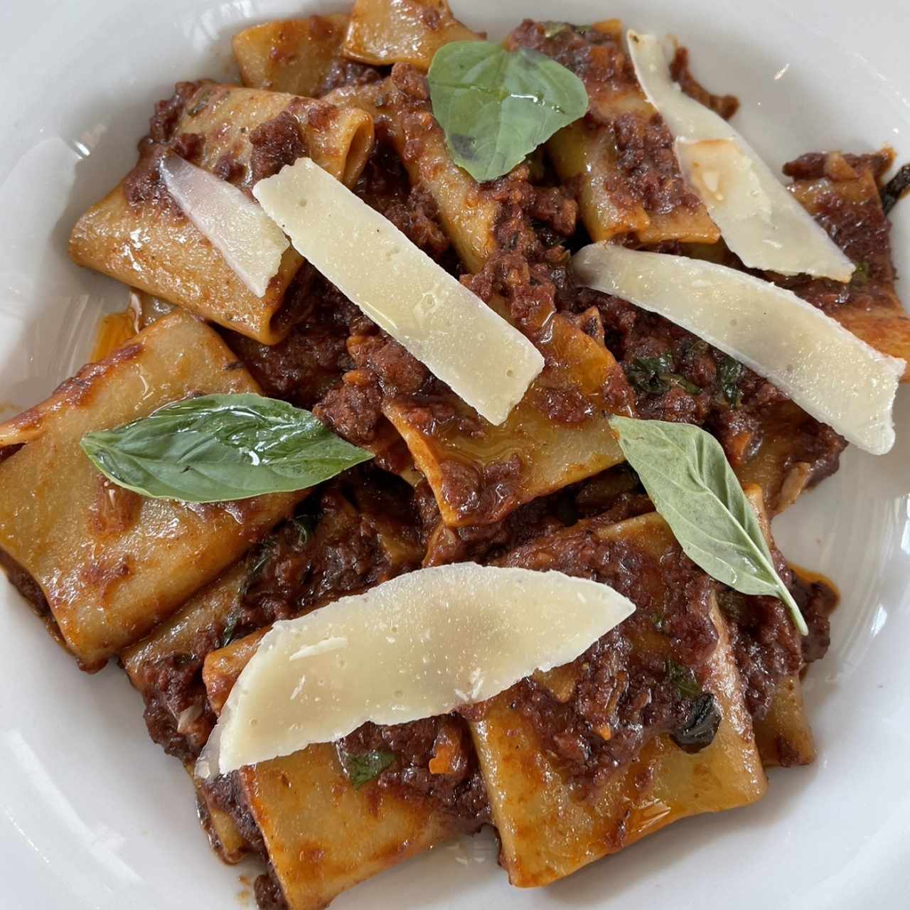 Paccheri Bolognese