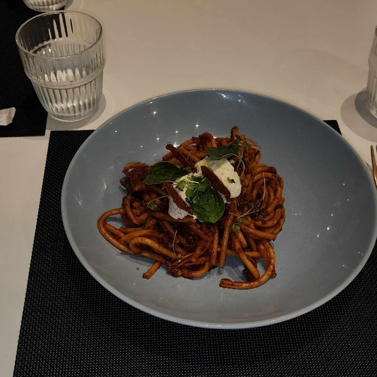 AMERICAN AMATRICIANA