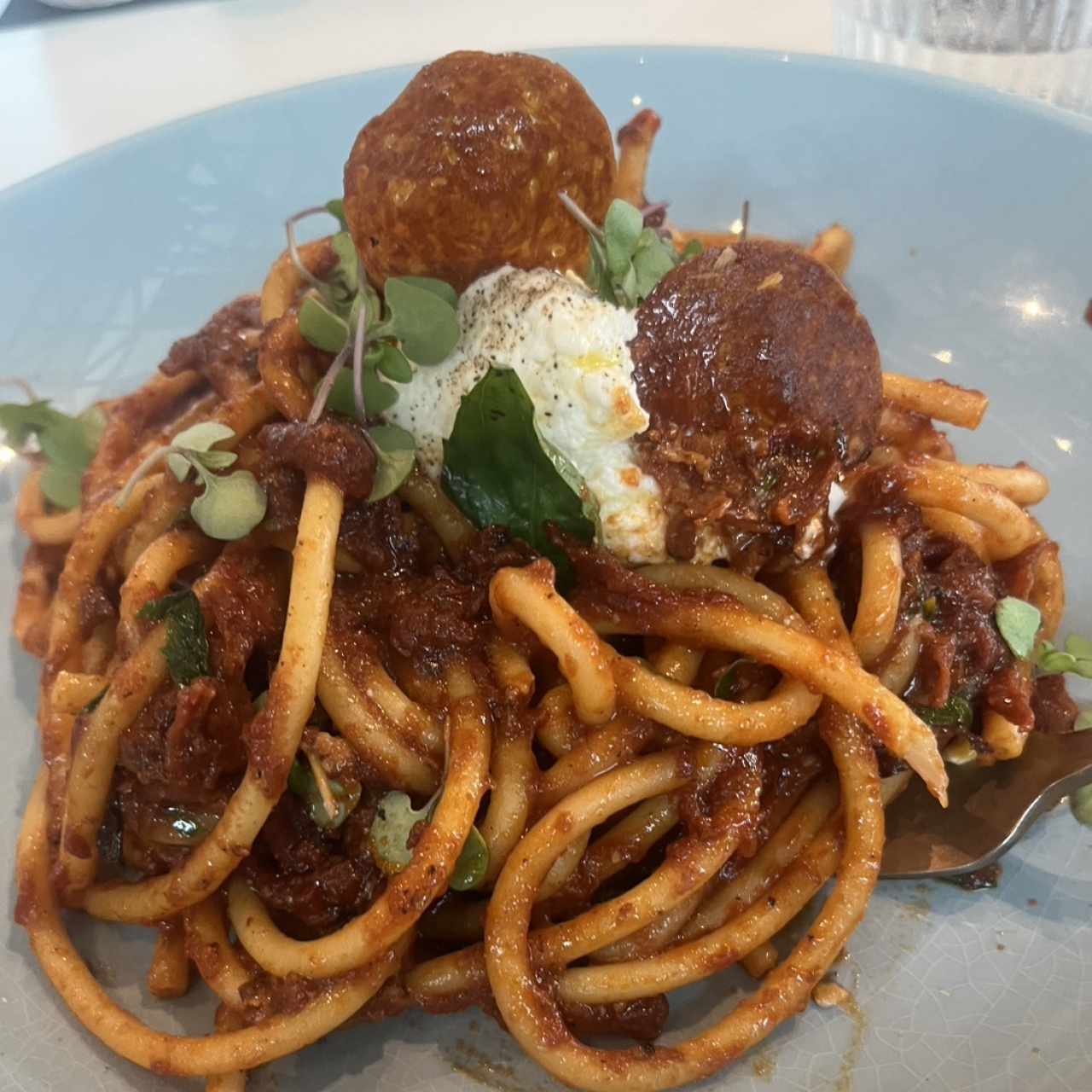 AMERICAN AMATRICIANA