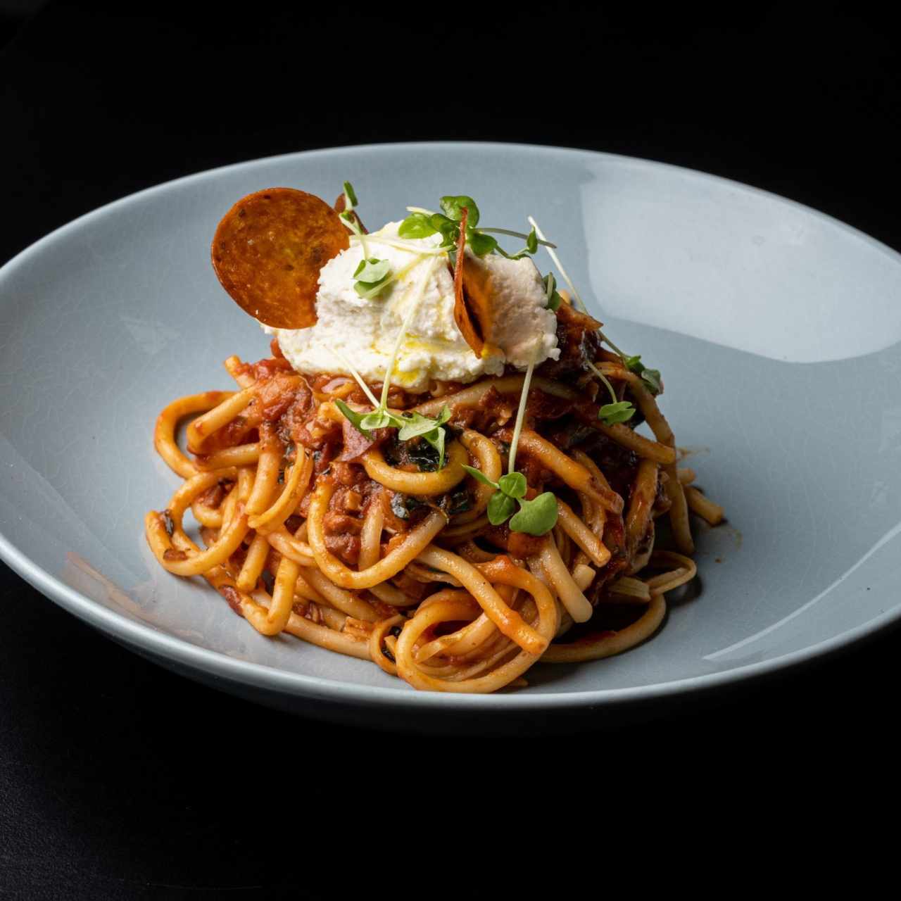 AMERICAN AMATRICIANA
