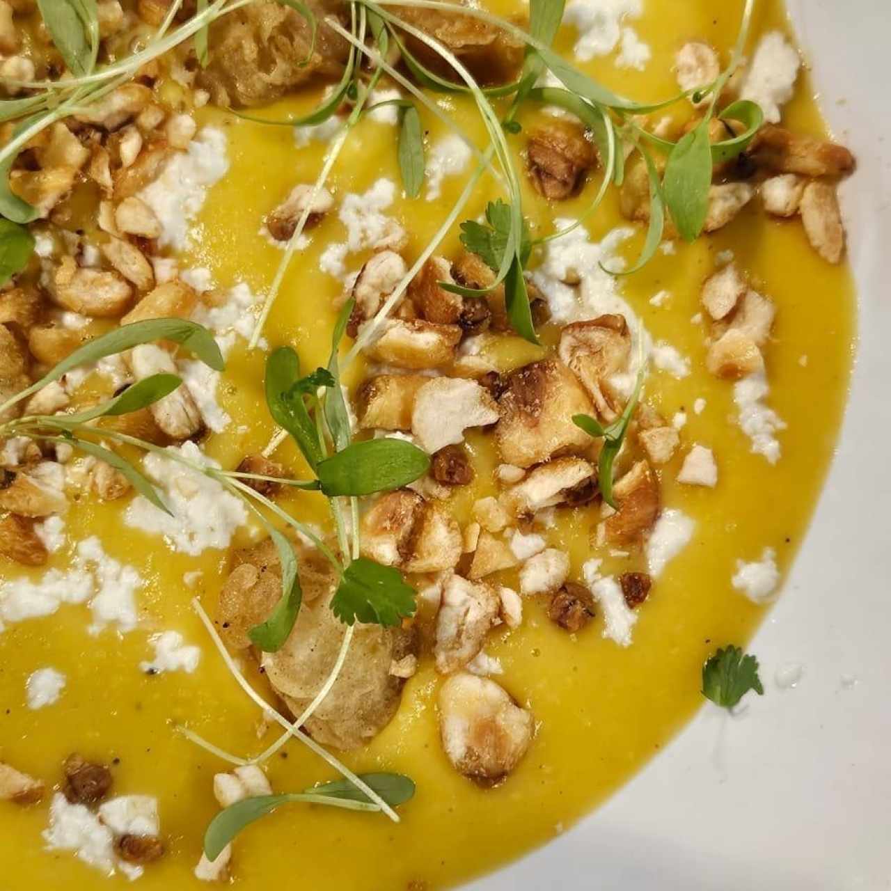 Crema de Maiz Dulce
