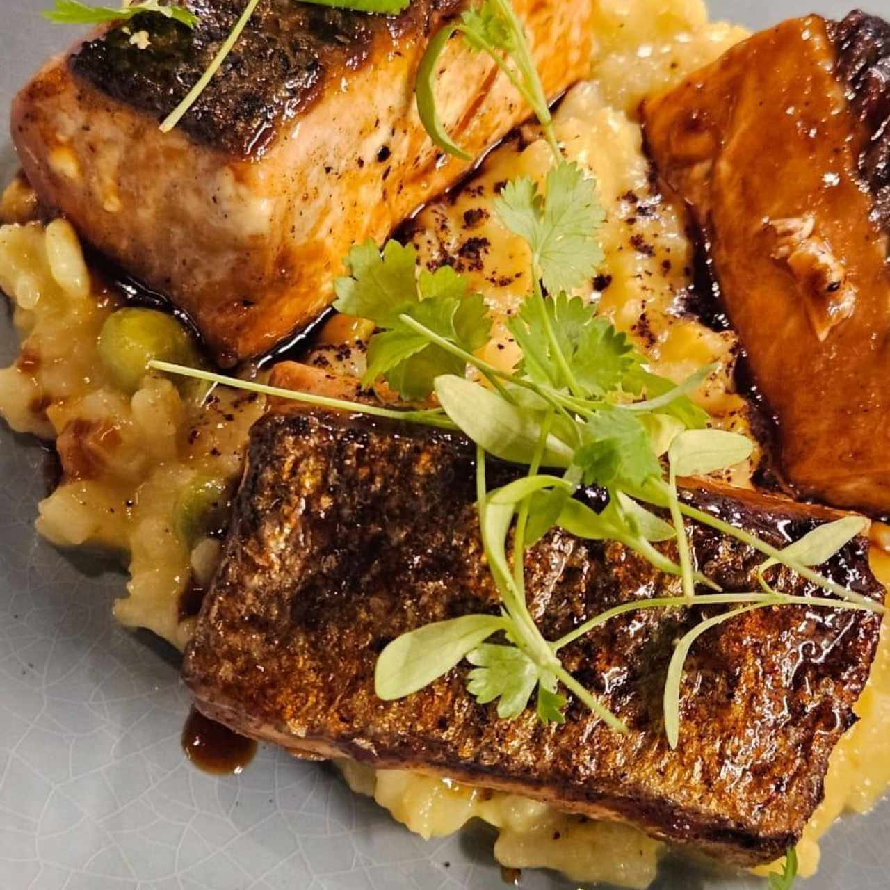 King Salmón y Corn Risotto