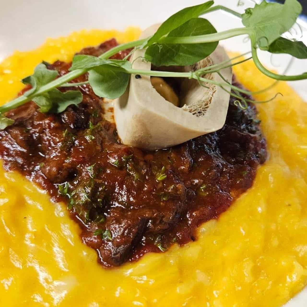Risotto di Ossobuco