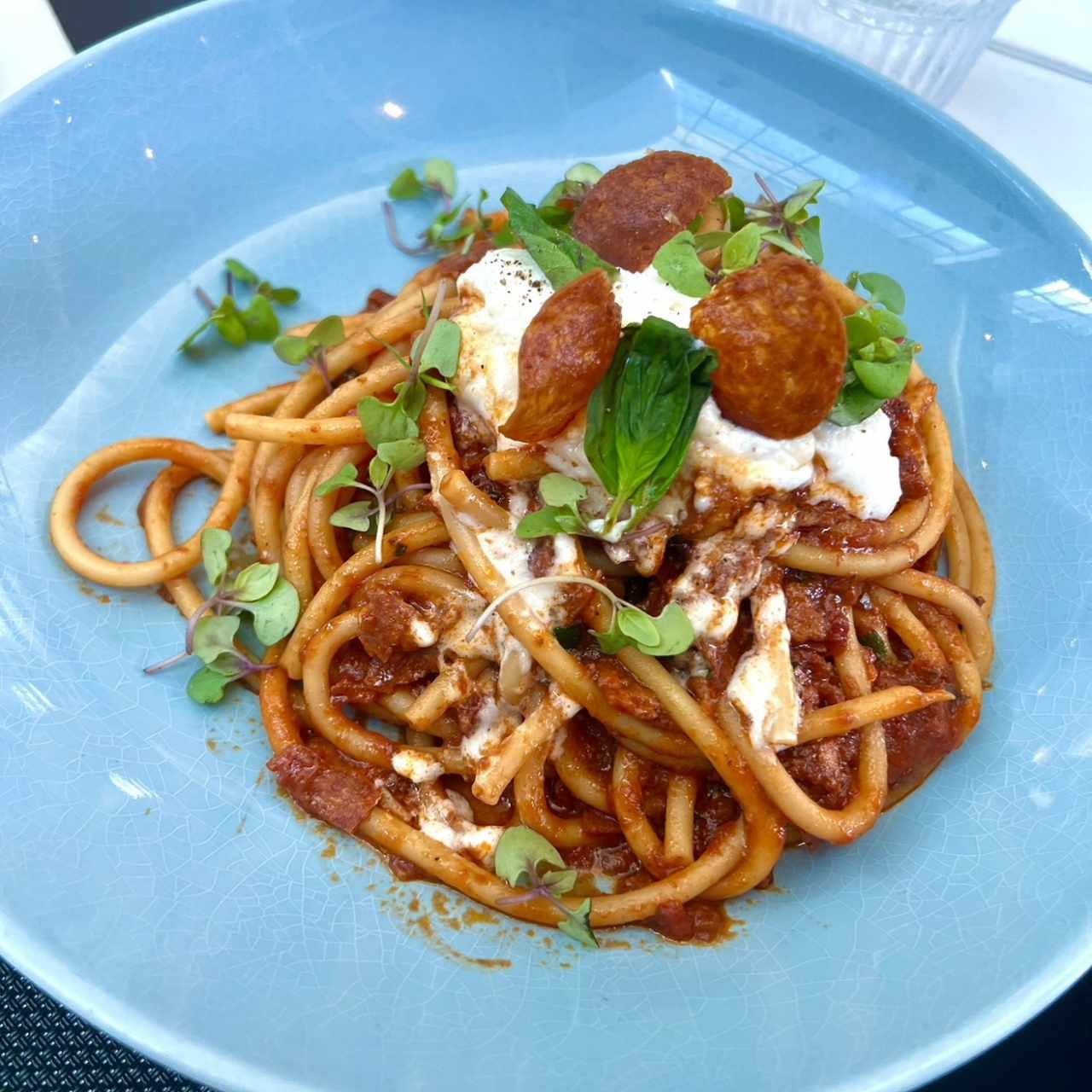 AMERICAN AMATRICIANA