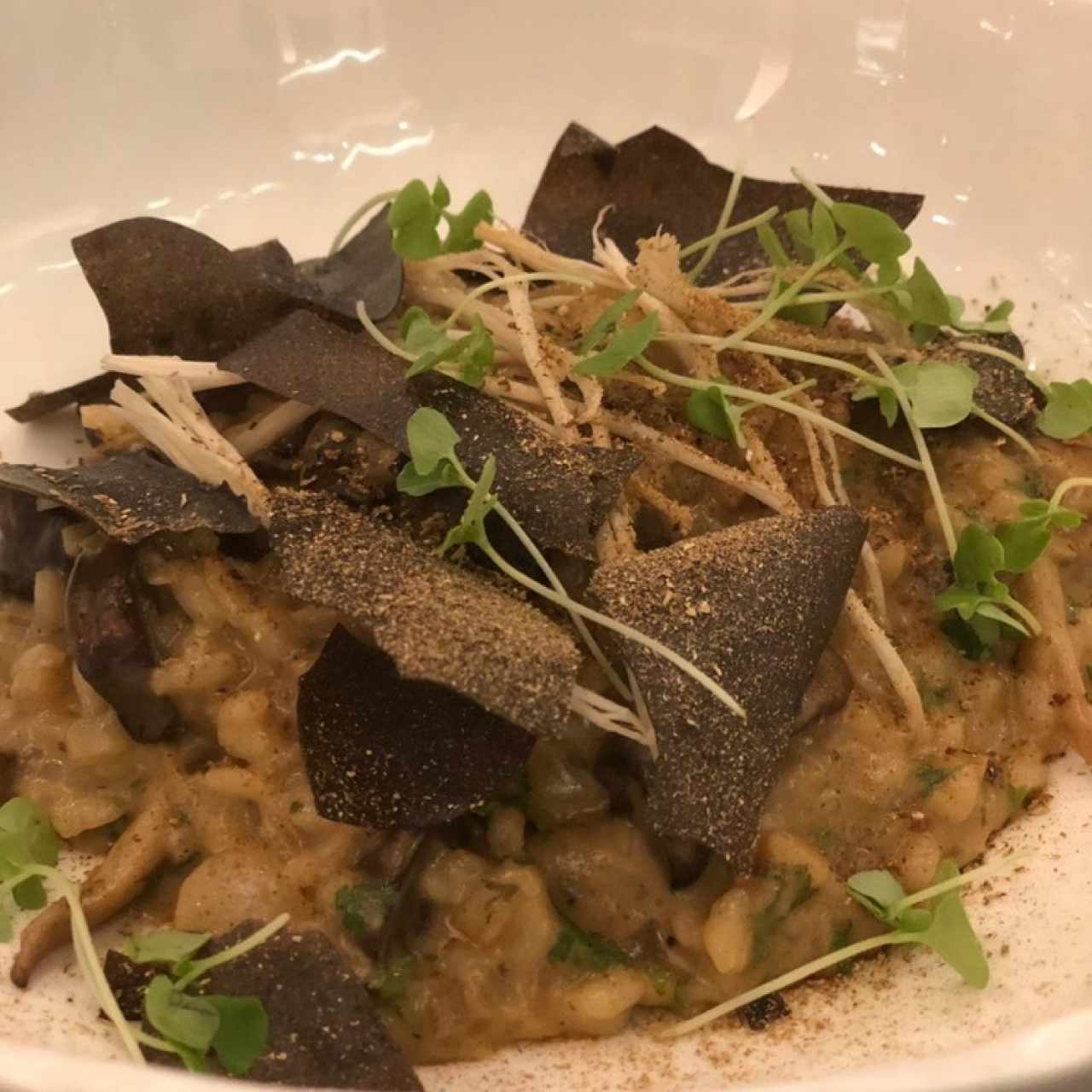 Rissotto de Hongos