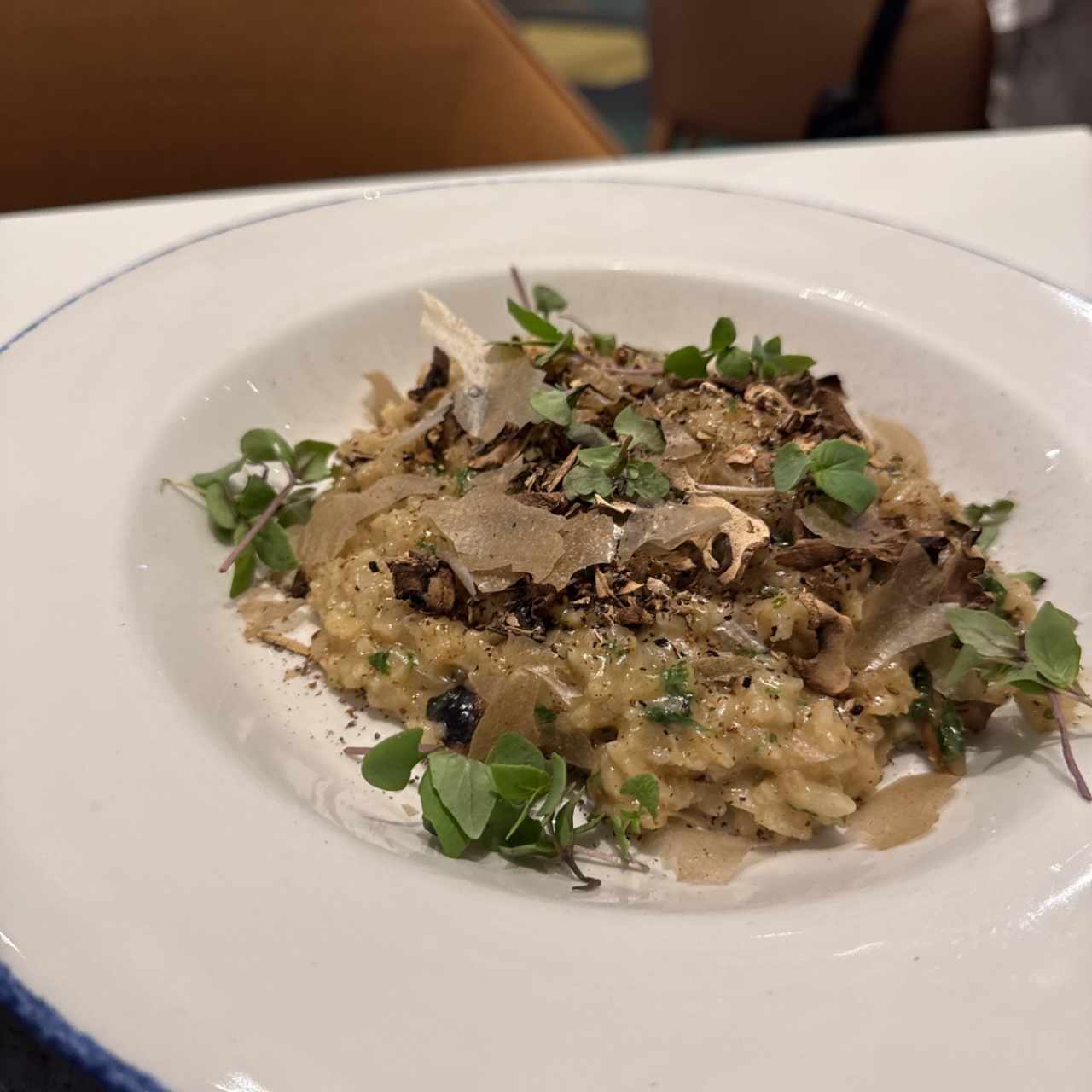 RISOTTO DE HONGOS