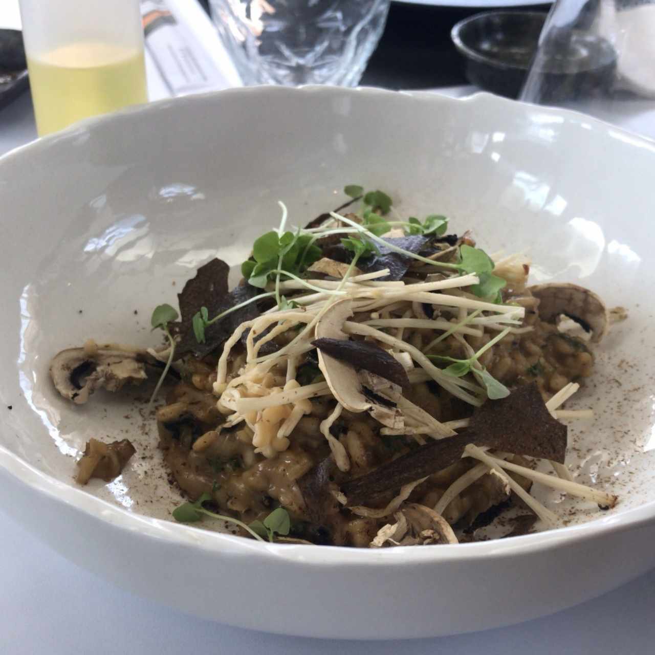 risotto de hongos