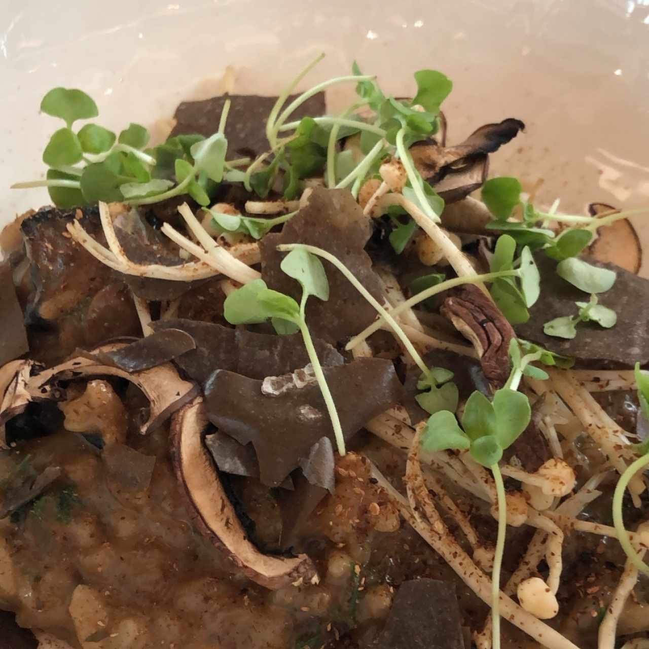 risotto de hongos