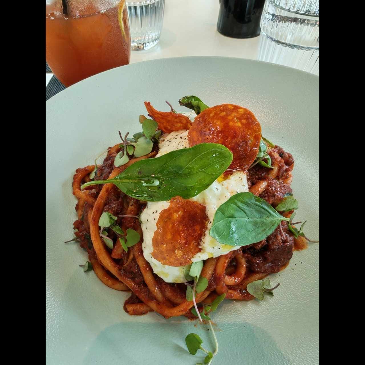 AMERICAN AMATRICIANA