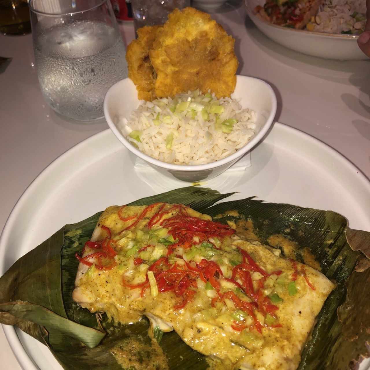 pesca del dia: corvina