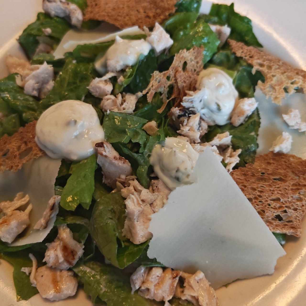 Insalata Cesare
