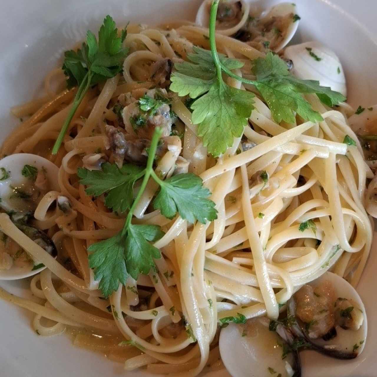 Pastas - Linguini Vongole