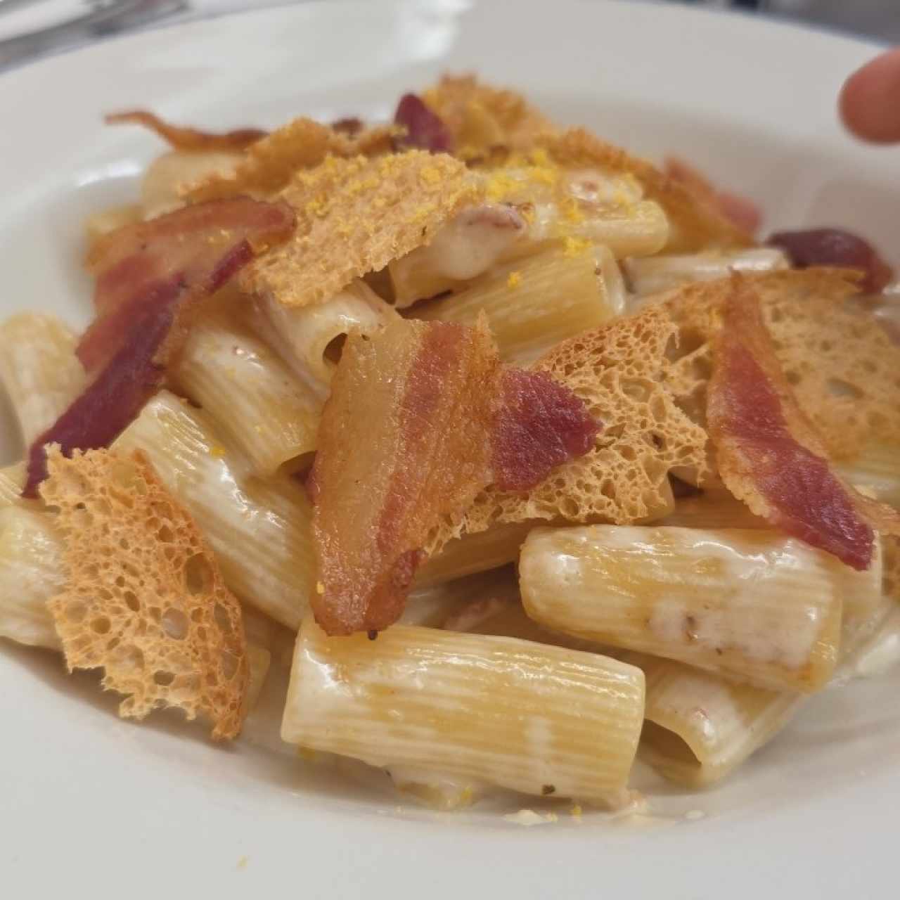 Pastas - Rigatoni Alla Norma