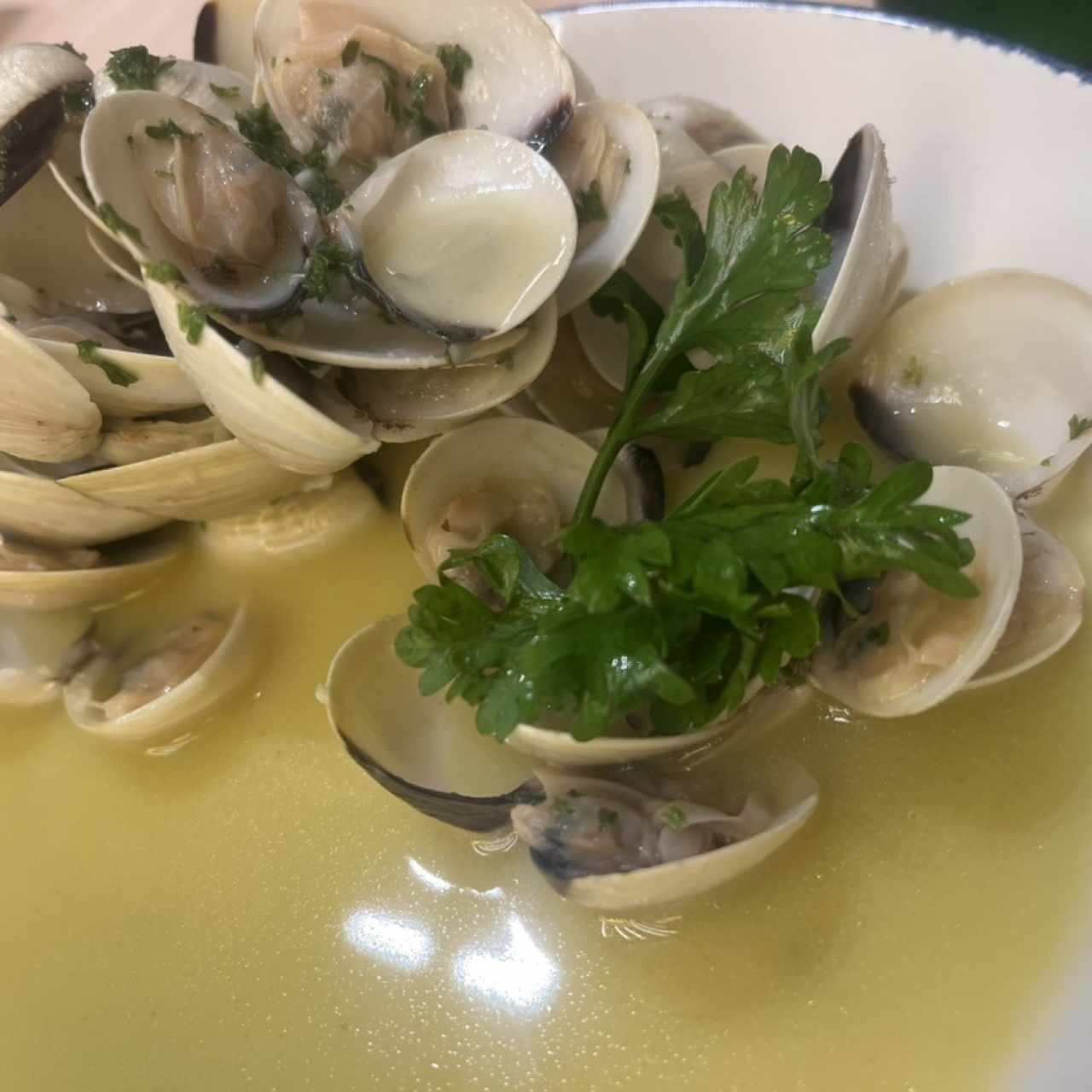Vongole