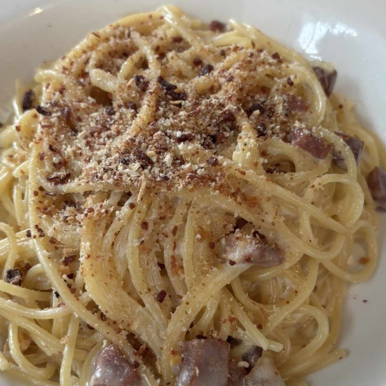 Spaghetti Alfredo e Prosciutto