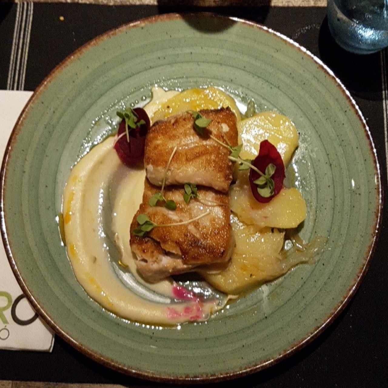 CORVINA CATALANA