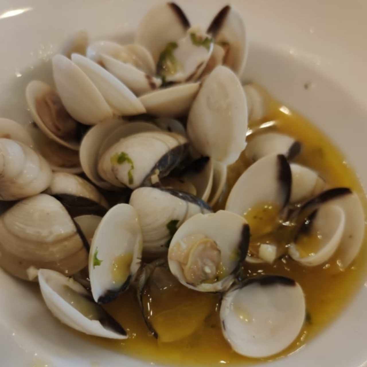 Almejas 