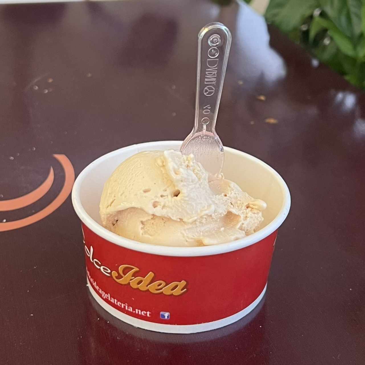 Helado de dulce de Leche