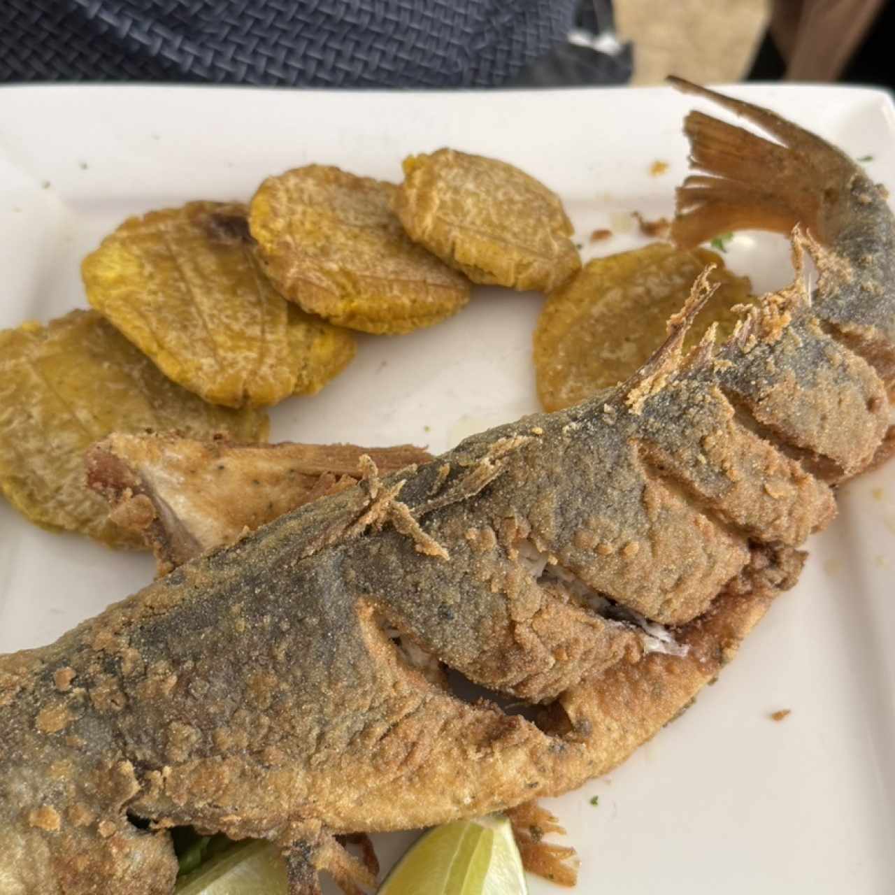 Corvina Frita