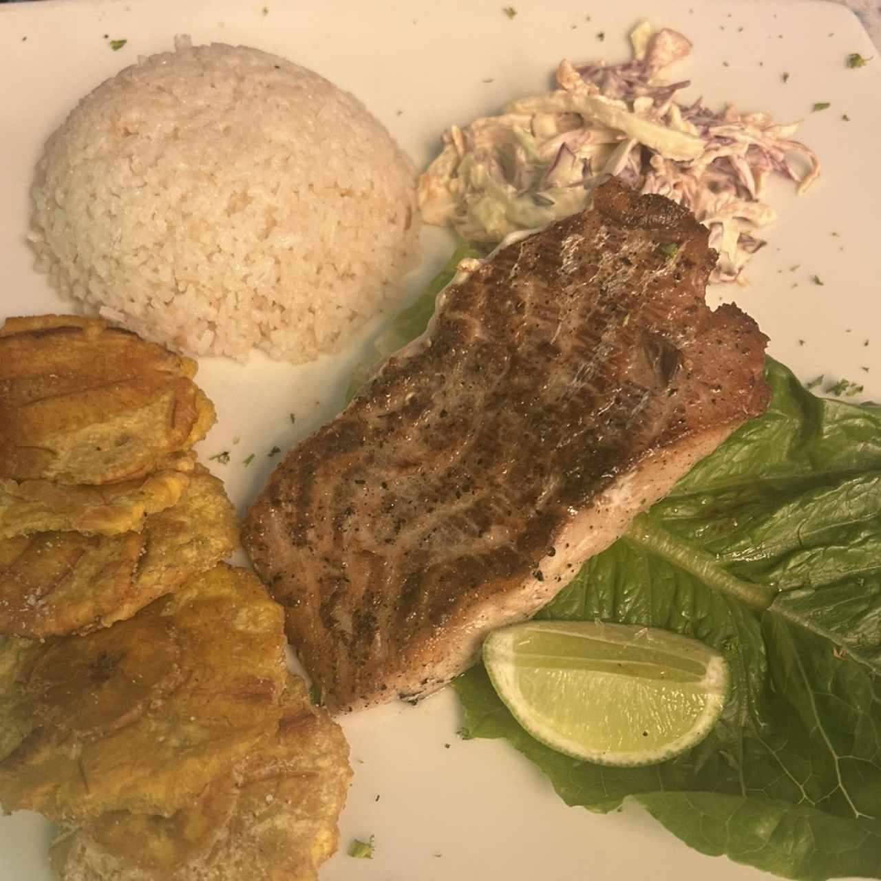 Filete de Pescado del Día al Grill