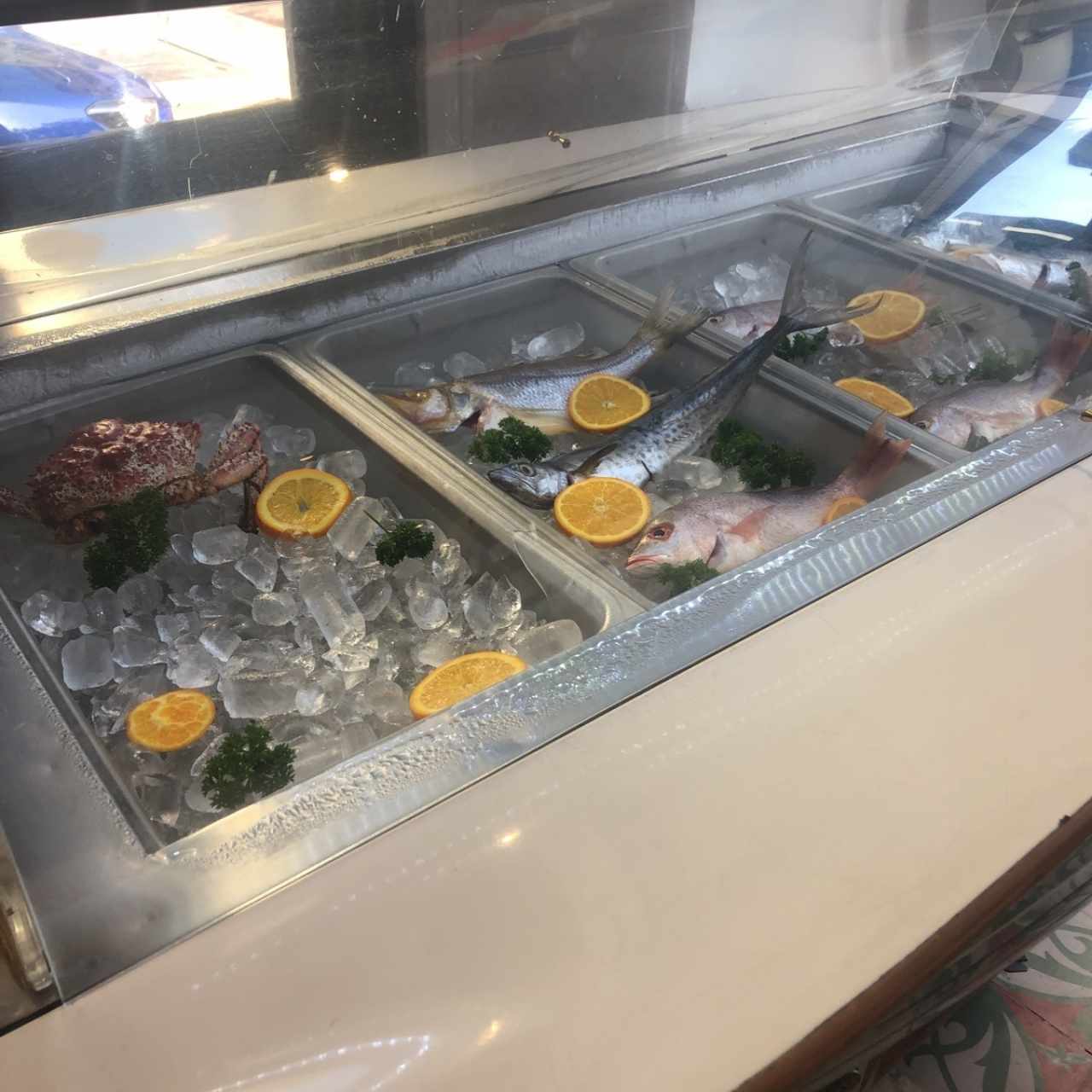 Pescados frescos 