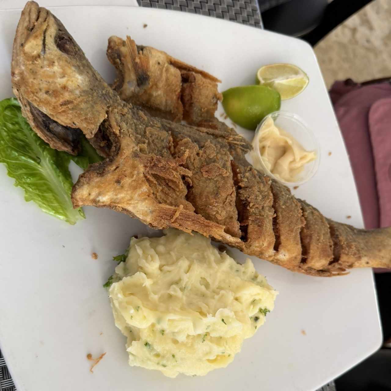 Corvina Frita