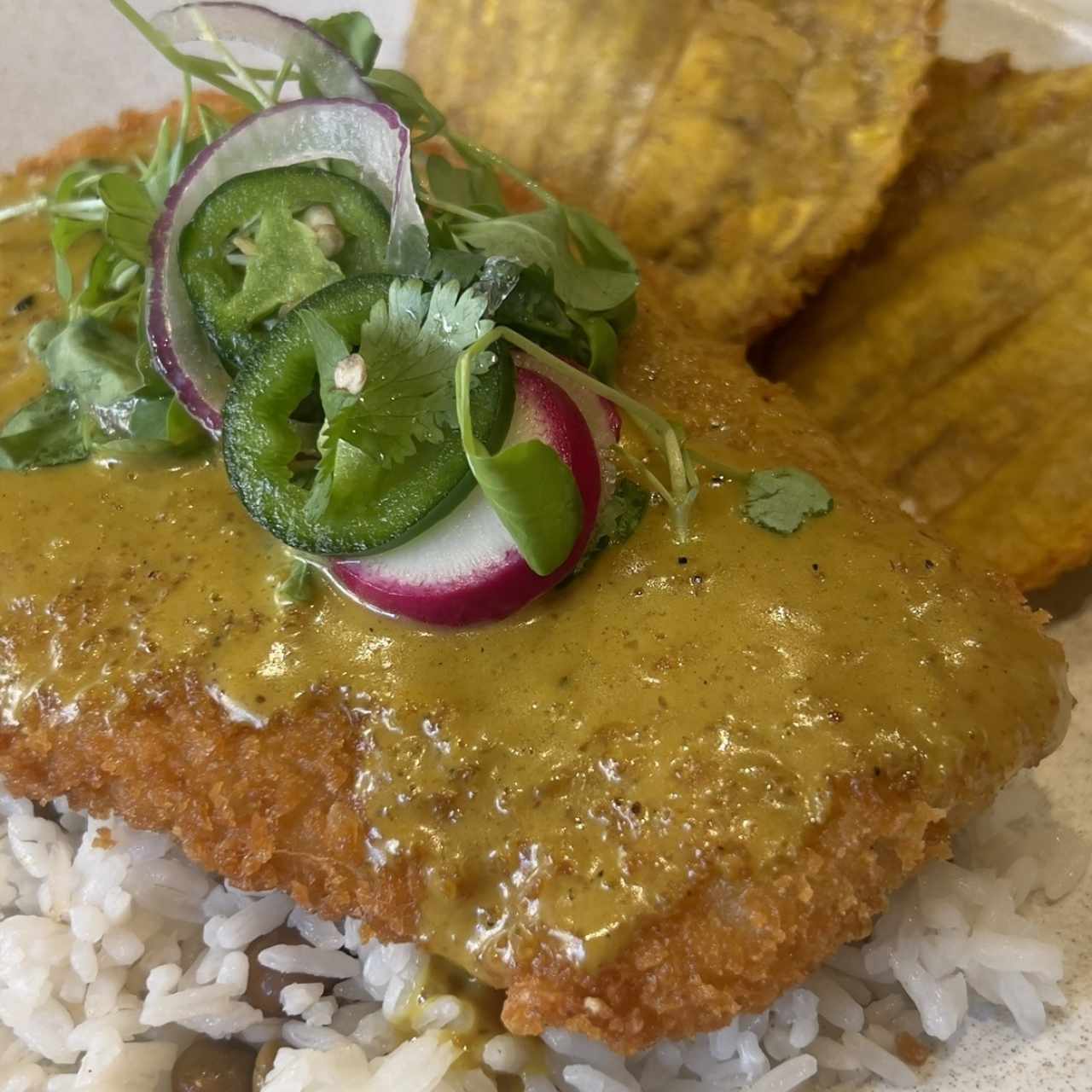 Corvina Coco y Curry