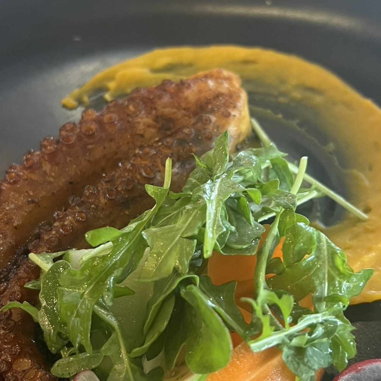 Tentáculo de pulpo al carbón 