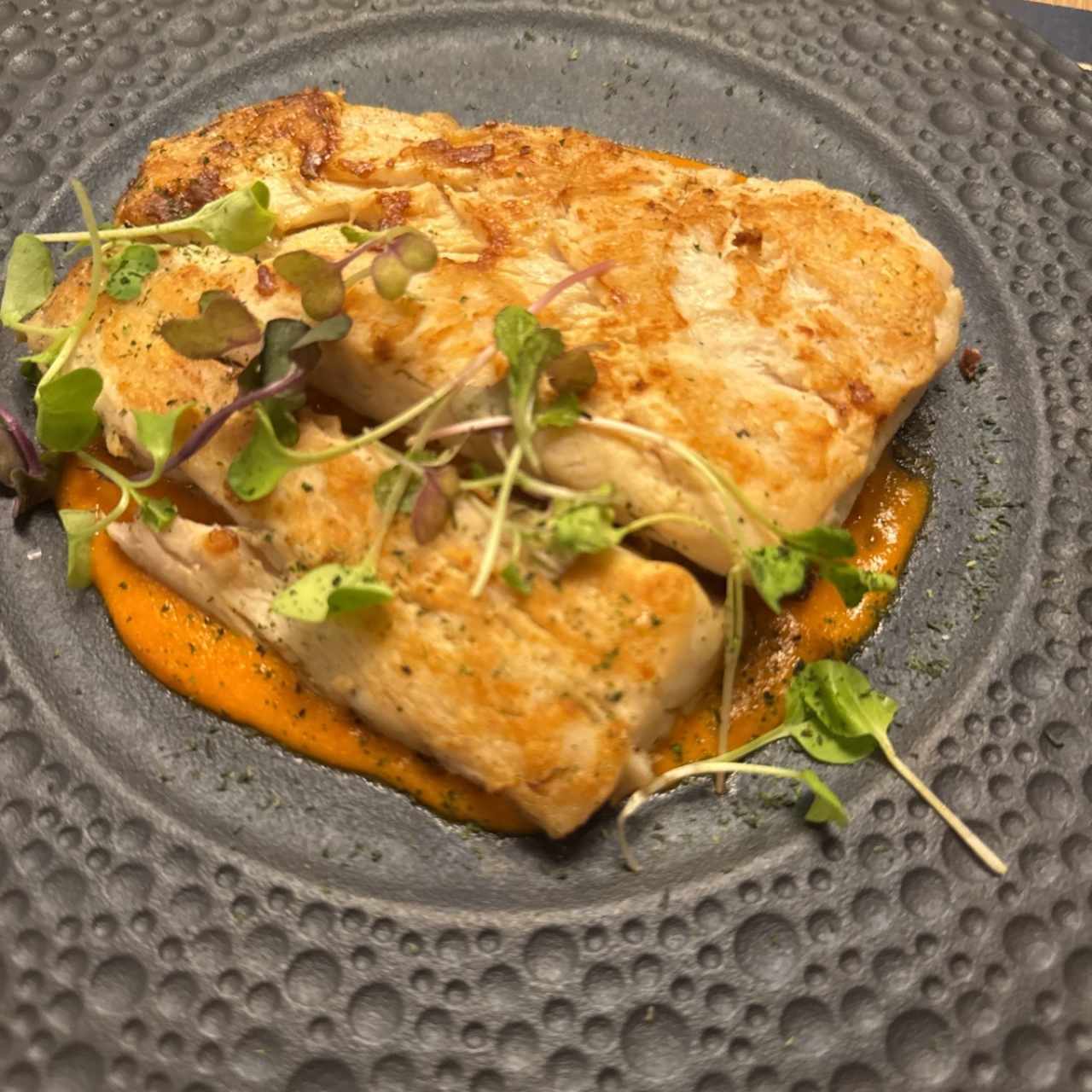 CORVINA AL CURRY