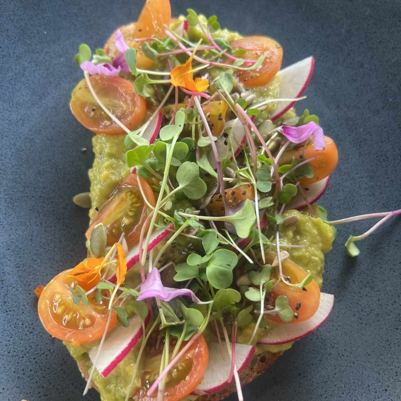 Tostadas - Avocado