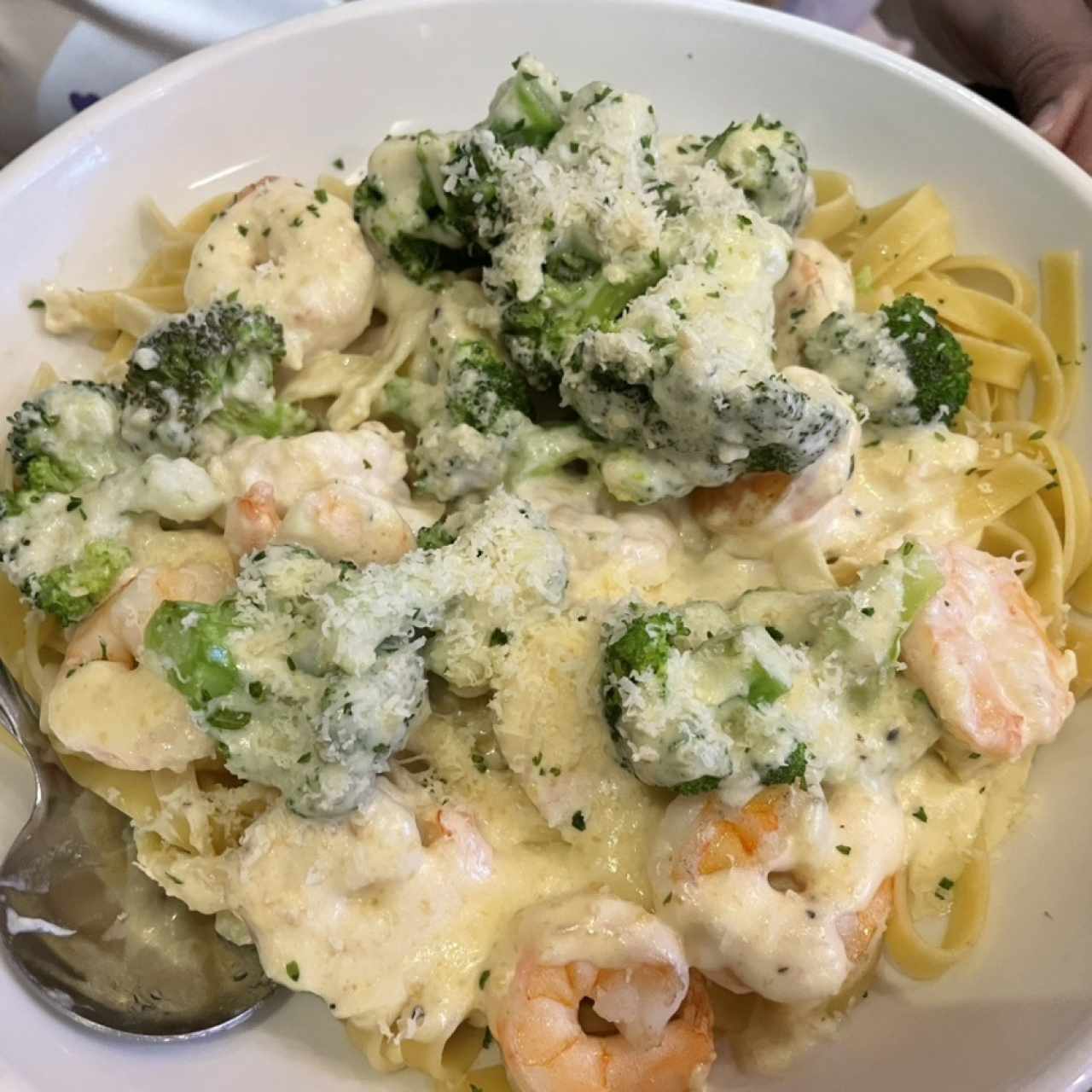 Amazing Alfredos - Shrimp Alfredo con Brocolí