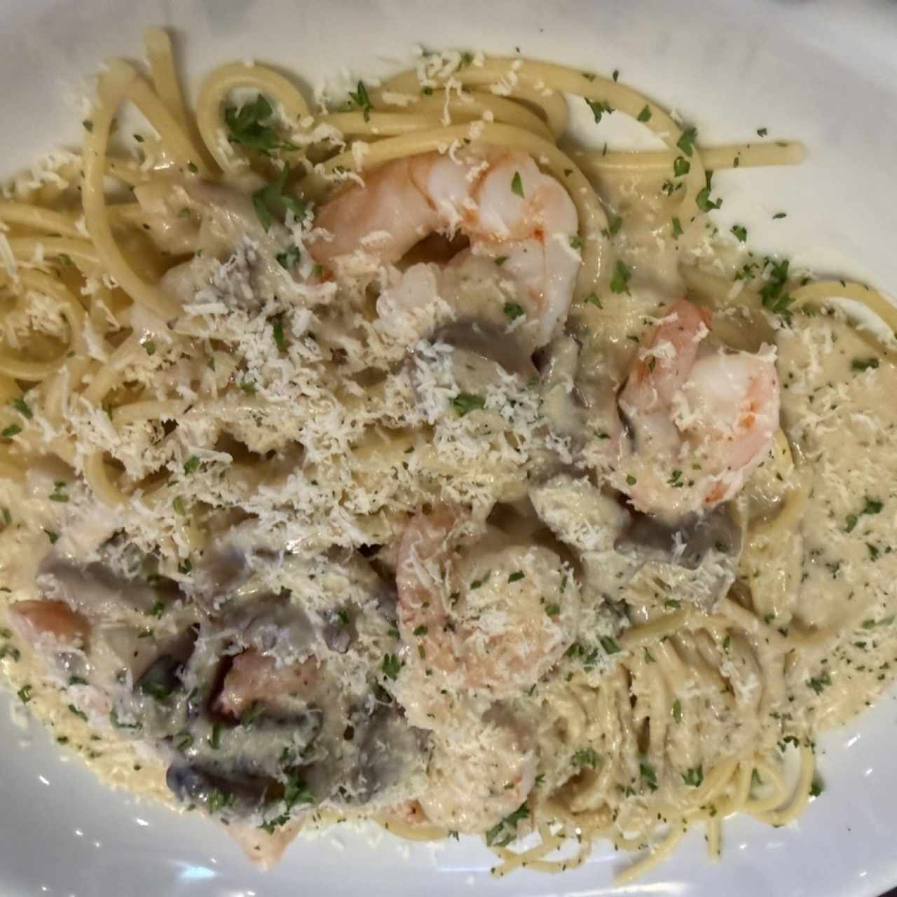 Elije una Pasta