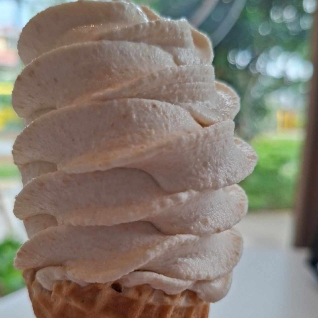 galleta maria