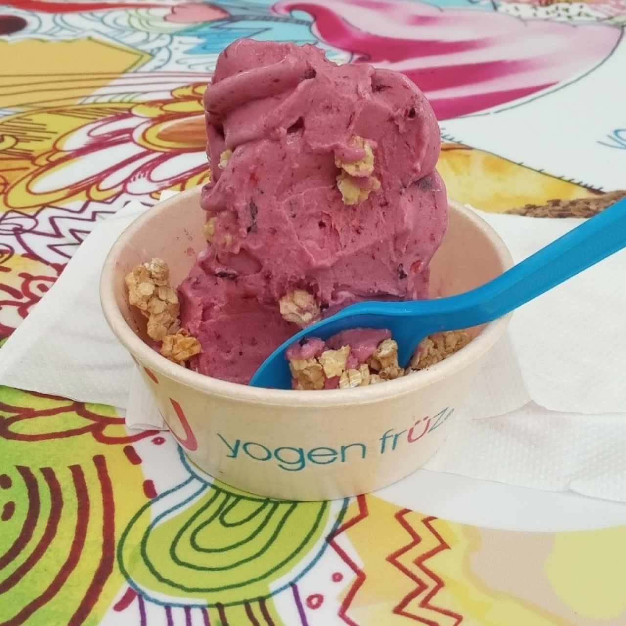frutos del bosque con granola simple