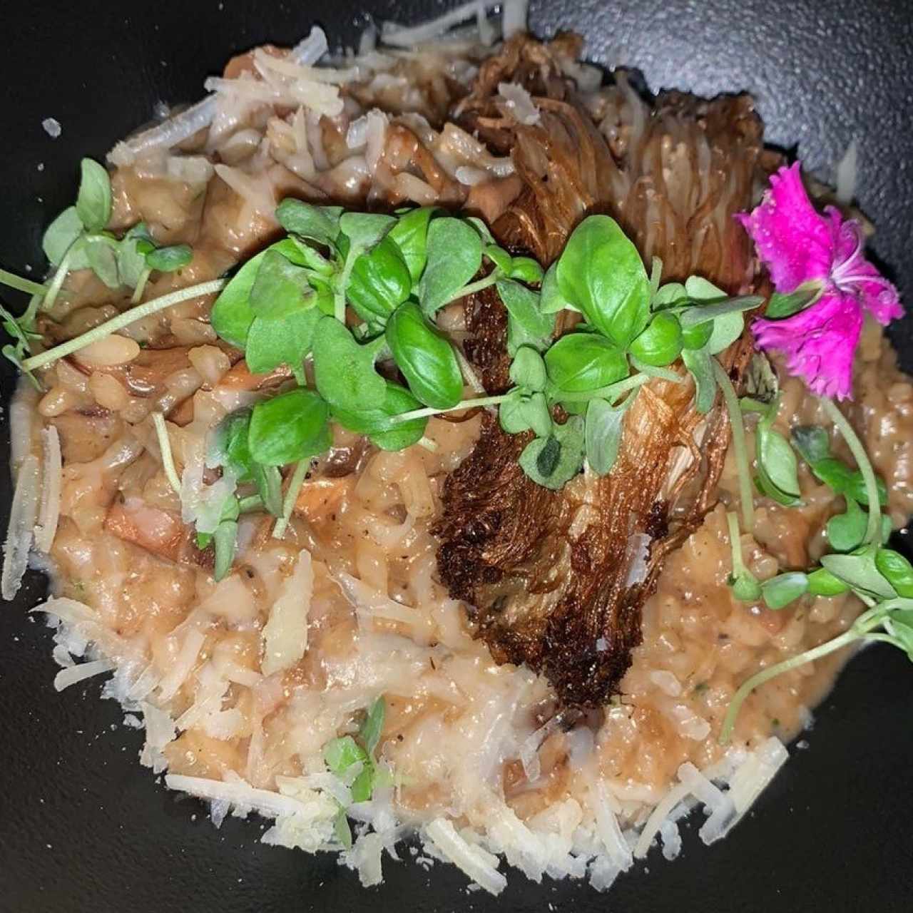 Risottos - Risotto ai Funghi