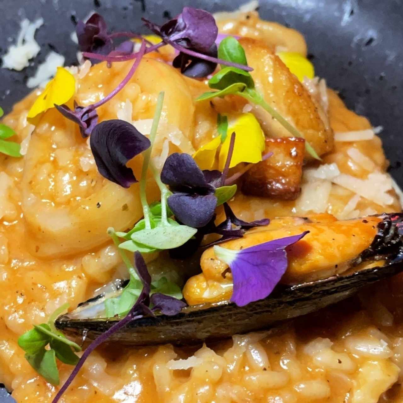 Risottos - Risotto Boillabaisse