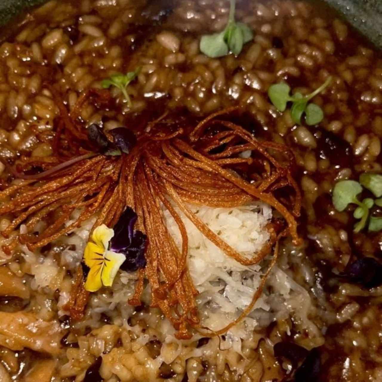 Risottos - Risotto ai Funghi