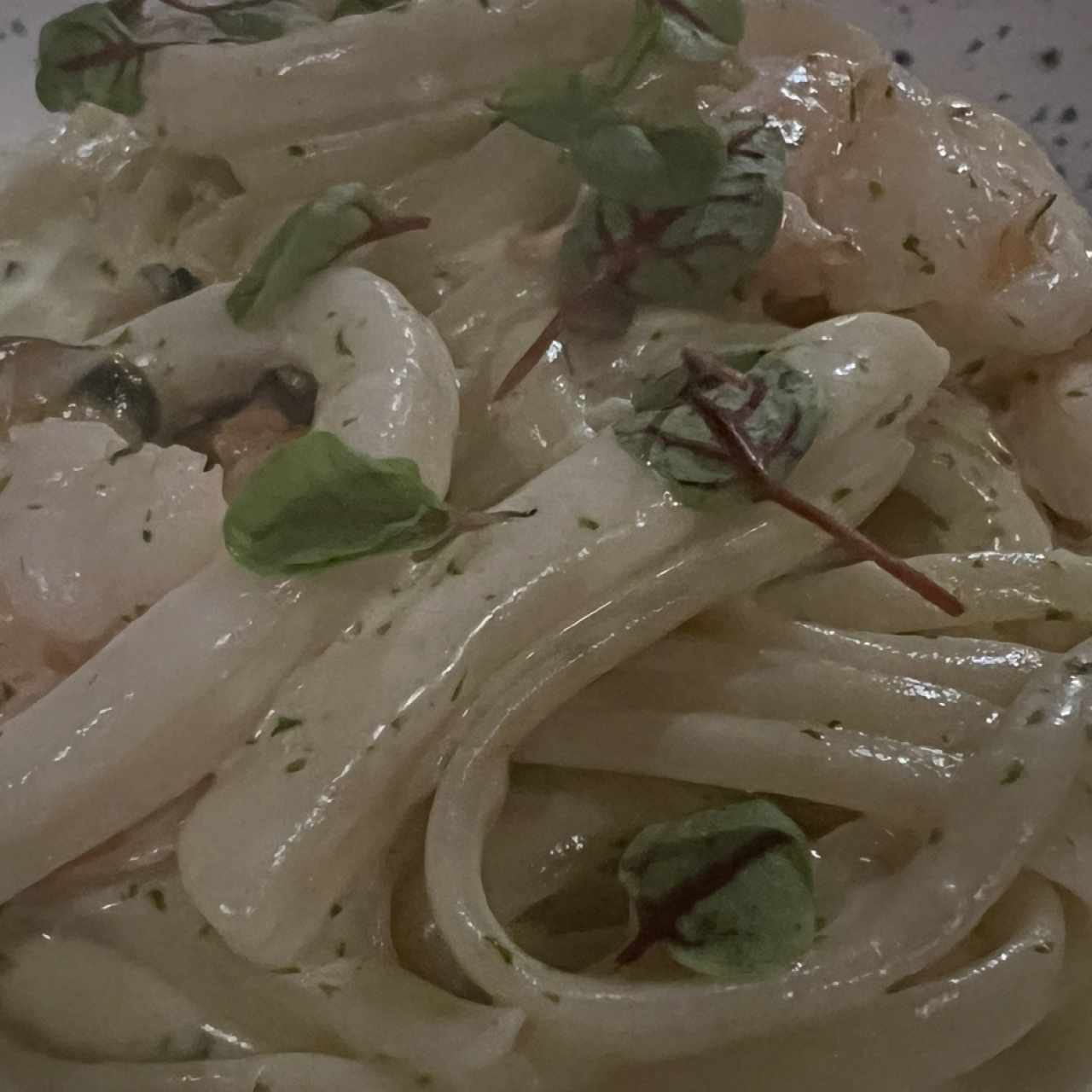 Menú Bambini - Spaghetti Alfredo