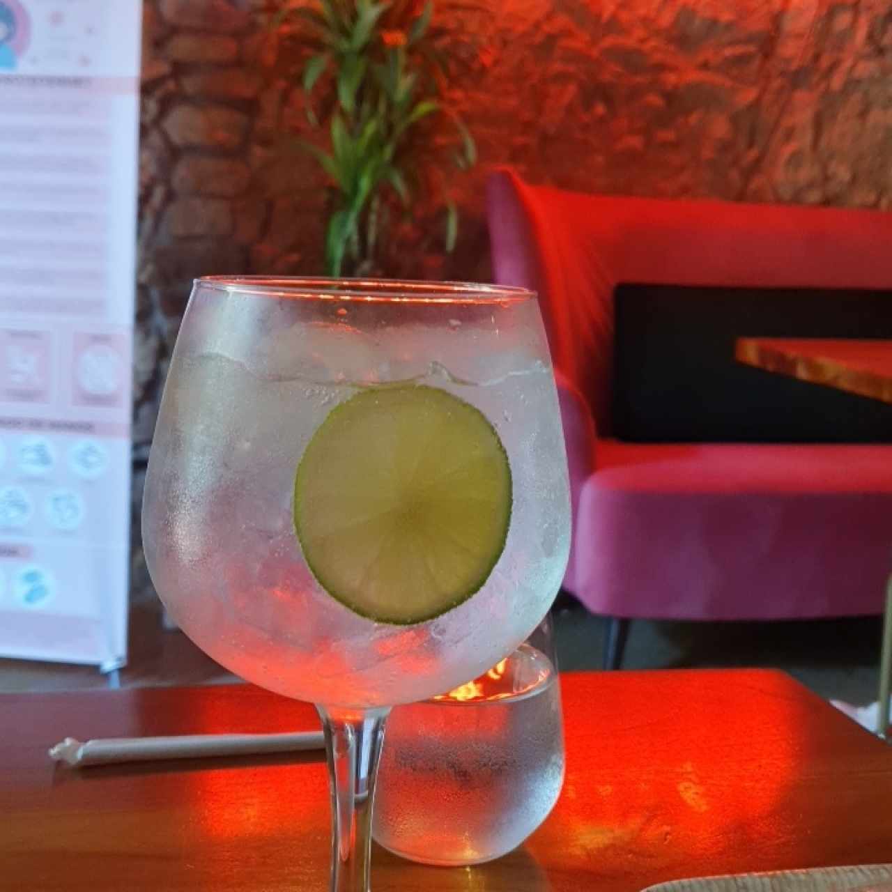 Gin cítricos 