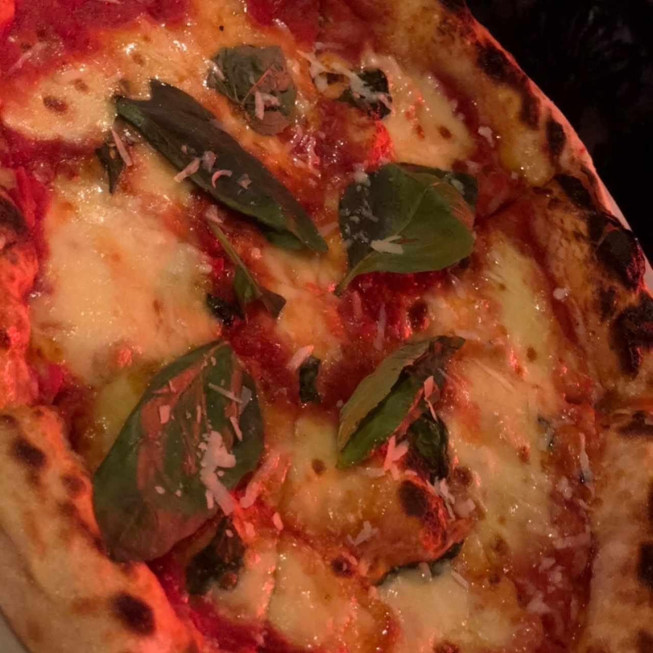 Margherita