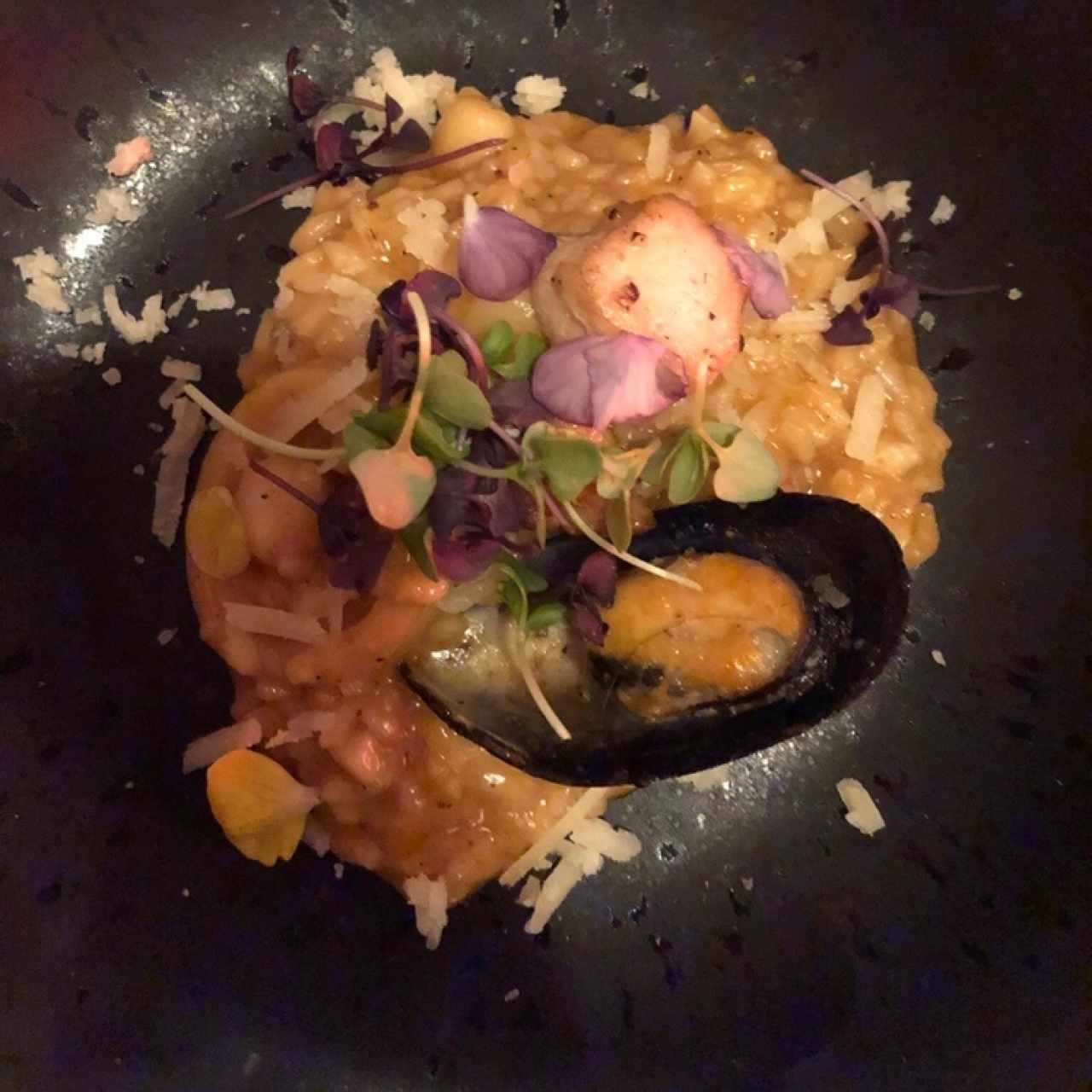 Risottos - Risotto Boillabaisse