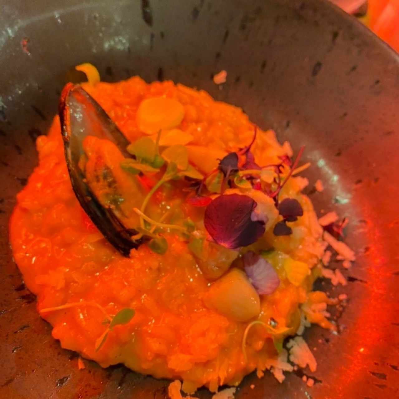 Risottos - Risotto Boillabaisse